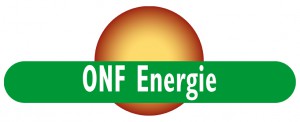Logo ONF Energie